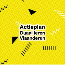 Actieplan Duaal Leren Vlaanderen