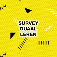 Survey scholen